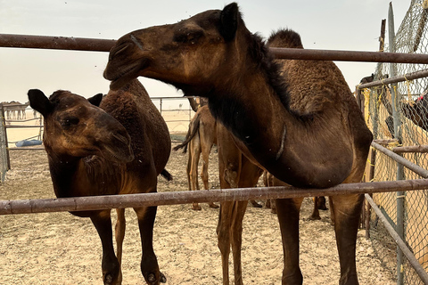 Arabiska 1001 Nätter - Privat tältsafari med övernattning