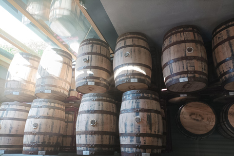 Rotterdam: Cley Distillery Tour & Whiskey Tasting Experience