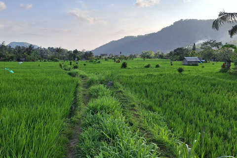 Sidemen Trekking : Une marche dans une perspective différente