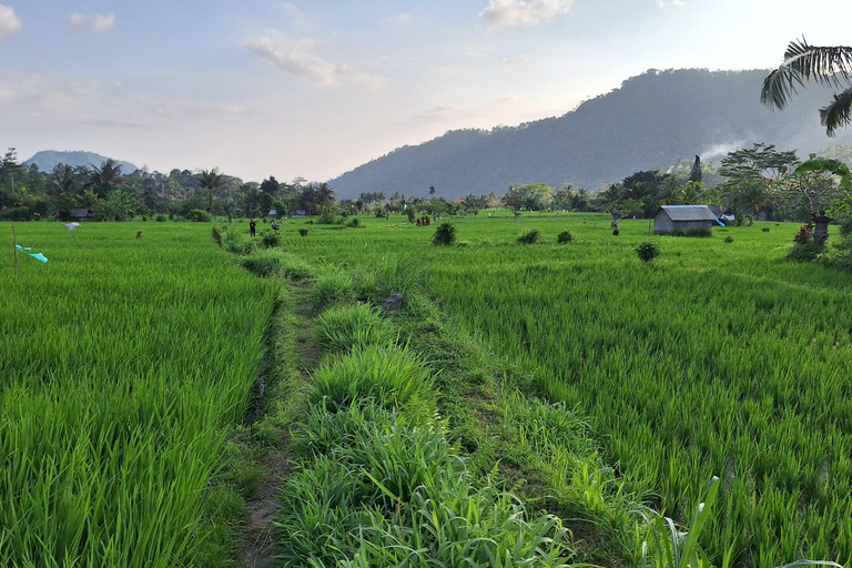 Sidemen Trekking: A Walk from Different Perspective