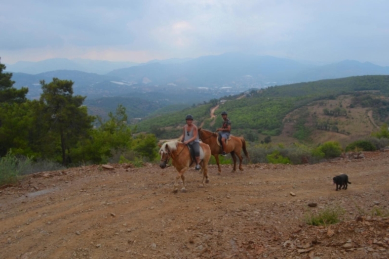 Alanya Horse Riding : Scenic Trails & Coastal Views