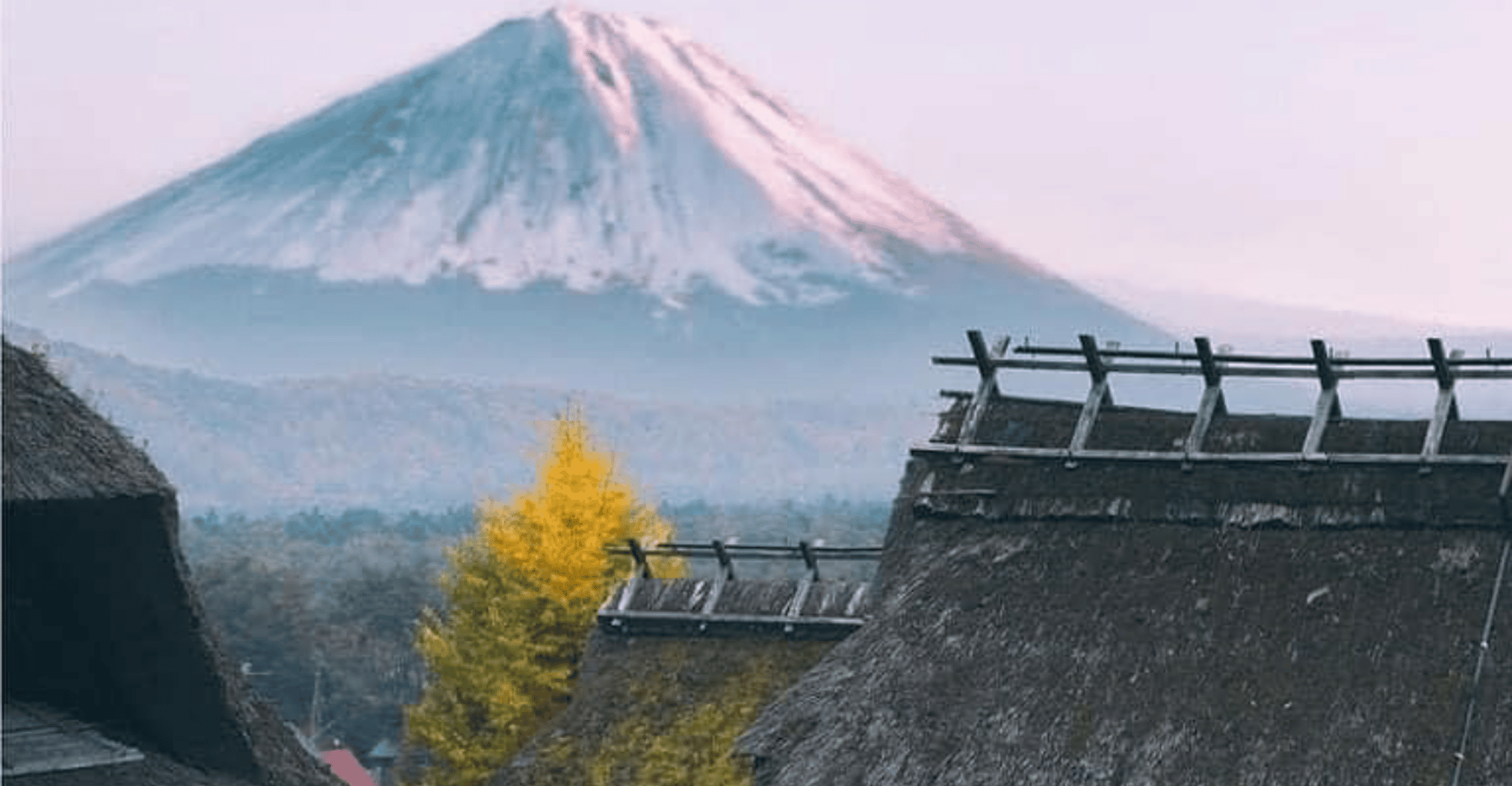 Da Tokyo, MT Fuji Hakone Owakudani Valley Tour privato - Hizvo