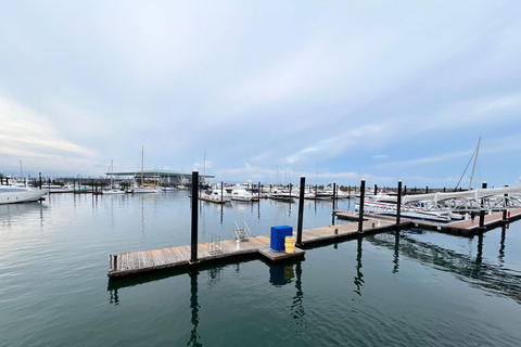 Panama Highlights: From Then To Now Tour Panama Highlights: Old Panama, Casco Antiguo & Causeway Tour