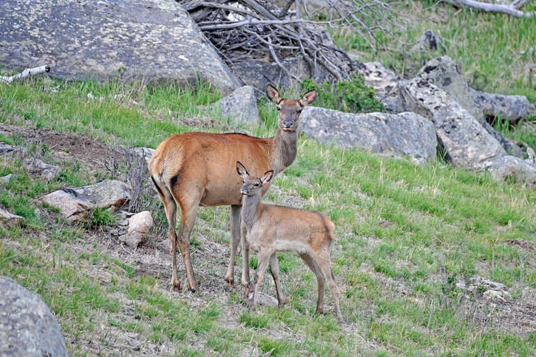Hustai National Park Day Tour Autumn: Standard Departure