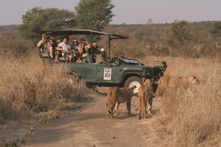Full Day Safari in Chobe National Park From Victoria Falls