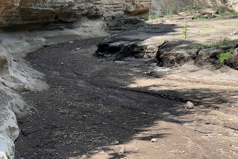 Hell's Gate e Lago Naivasha: tour in bicicletta, escursione e giro in barcaAvventura a Hell's Gate (da Nairobi)