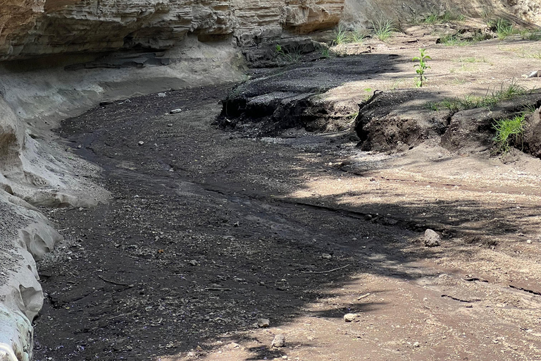 Hell's Gate e Lago Naivasha: tour in bicicletta, escursione e giro in barcaAvventura a Hell's Gate (da Nairobi)