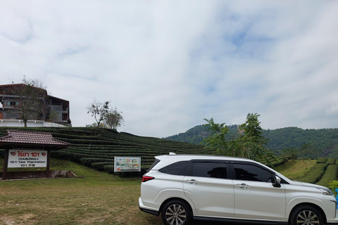 Chiang Rai: Mountains Discovery Doi Mae Salong & Doi Tung Mountains Discovery:Doi Mae Salong & Doi Tung (Private Tour)