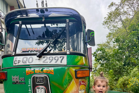 Kandy to Nuwara Eliya Scenic Day Trip + Ambewala Train Drop