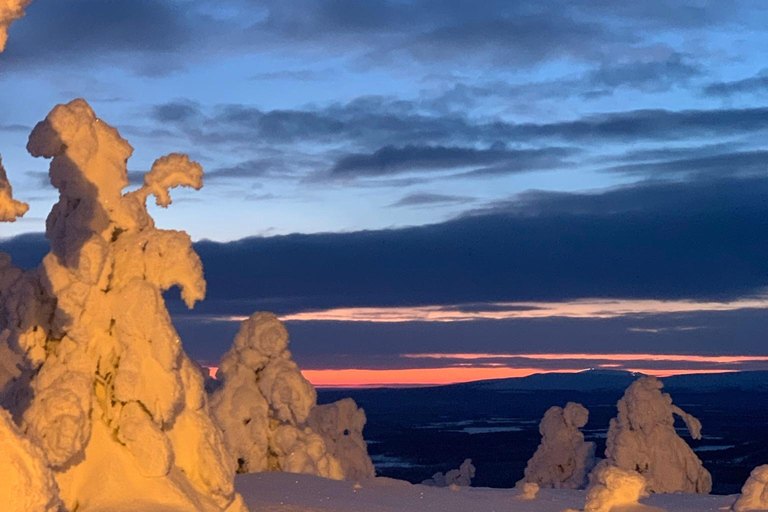 Levi: Snöskovandring: Tomtens stuga och picknick i natursköna omgivningar