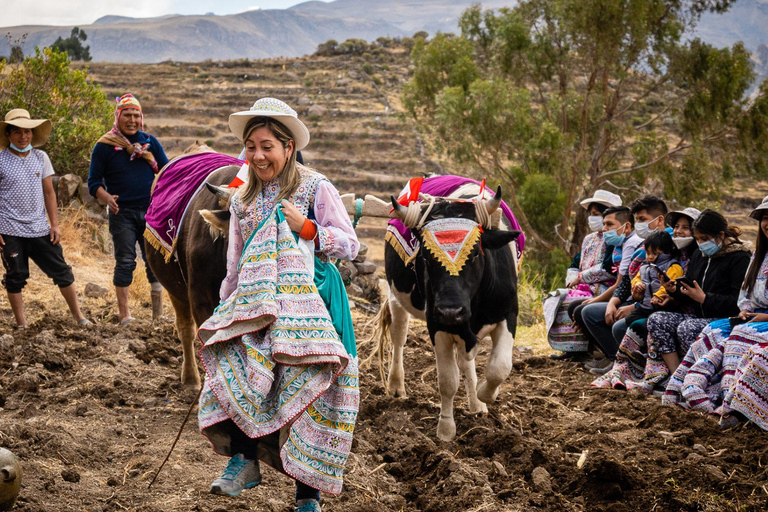 Arequipa: tour di 3 giorni del Canyon del Colca e delle cave di Sillar