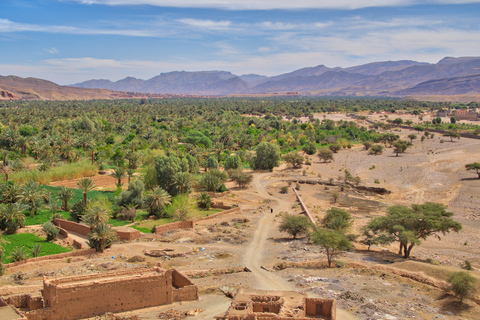 Agadir: Valle del Paraíso + Paseo en Camello con Comida en una Antigua Kasbah