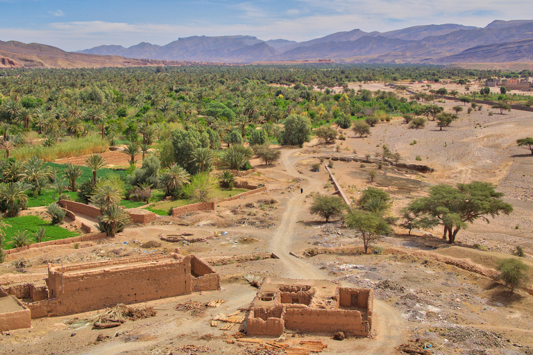 Agadir: Valle del Paraíso + Paseo en Camello con Comida en una Antigua Kasbah