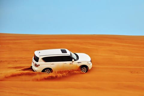 Desert Safari - Private 4WD car