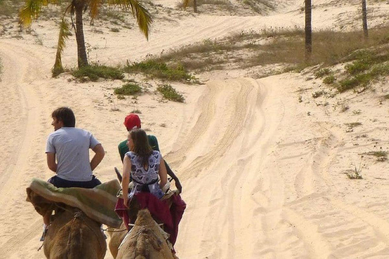 Thiès: Guided City Tour with Optional Bandia Reserve Visit