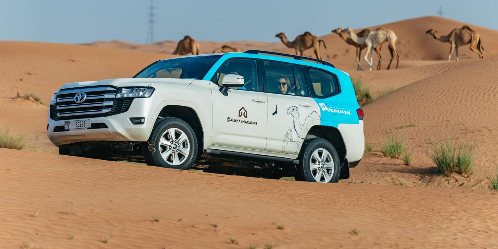 Dubai: Overnight Safari, Dinner, Stargazing & Al Khayma Camp — gallery image 14
