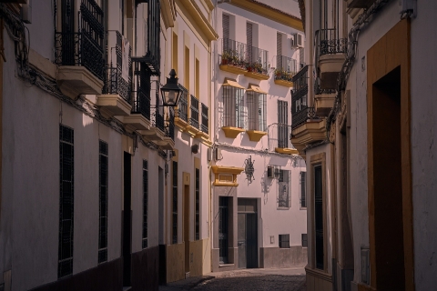 Valencia - Paseo histórico privado