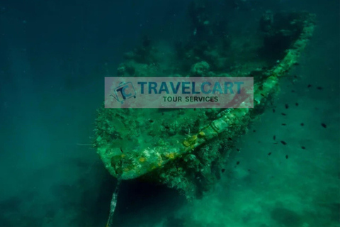 Coron Reef & Wrecks Tour