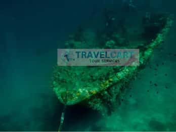 Coron Reef & Wrecks Tour