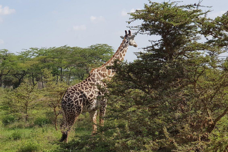 尼雷尔国家公园4天/3夜游猎和钓鱼尼雷尔国家公园 4 天/3 夜游猎和钓鱼之旅