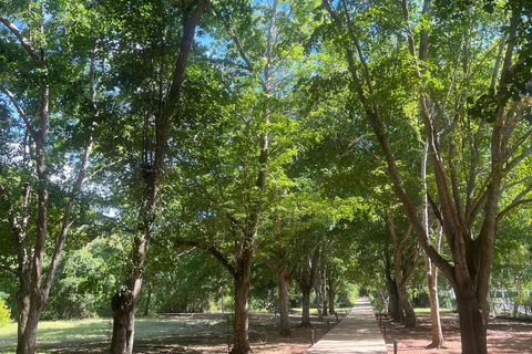 Private Romana city Tour, Cave of Wonders & Horseback riding