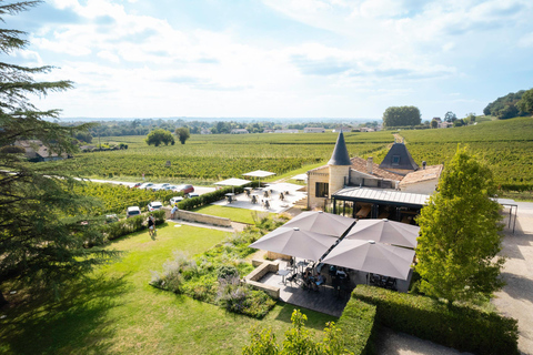 Saint-Émilion: Vineyard Tour and Wine Tasting