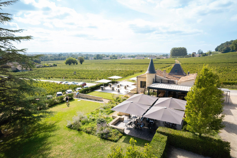 Saint-Émilion: Vineyard Tour and Wine Tasting