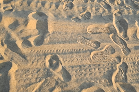 Safari por el Desierto de Qatar (Sandboarding, Paseo en Camello)DESIERTO