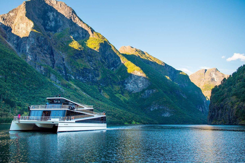 Bergen: Flåm Railway, Nærøyfjord Cruise & Stegastein View