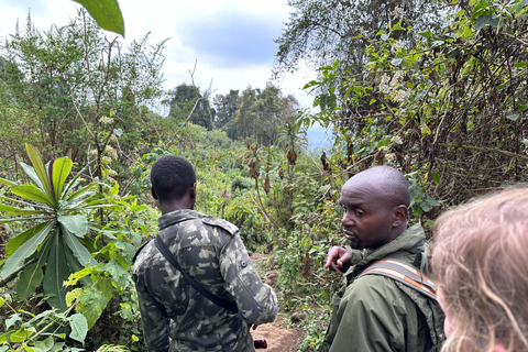 1 Day Mount Bisoke Hiking Adventure Trip, Volcanoes N Park