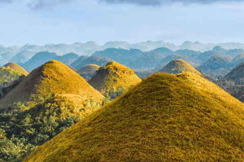 Bohol: Premium Chocolate Hills, Tarsiers &amp; River Experience