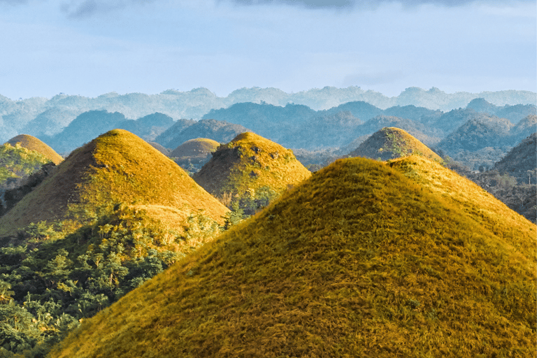 Bohol: Premium Chocolate Hills, Tarsiers &amp; River Experience