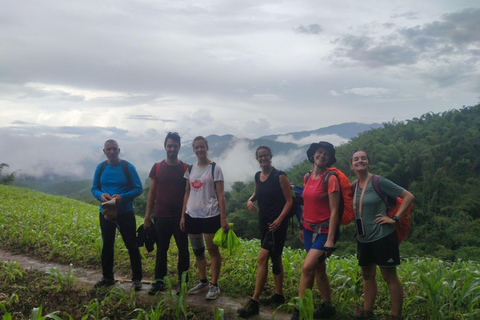 Chiang Rai: Jungle Adventure-Group Trekking & Bamboo Cooking