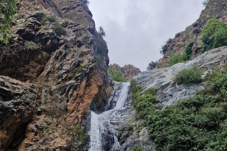 Marrakech:Atlas Mountains, Ourika Waterfall with guide+Lunch Marrakech:Atlas Mountains, Ourika Waterfall with Guide+Lunch