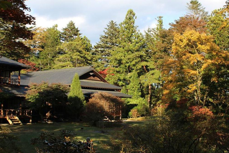 Nikko Private Day Trip with English Driver-Guide From Tokyo Nikko Private Day Trip with English Driver-Guide