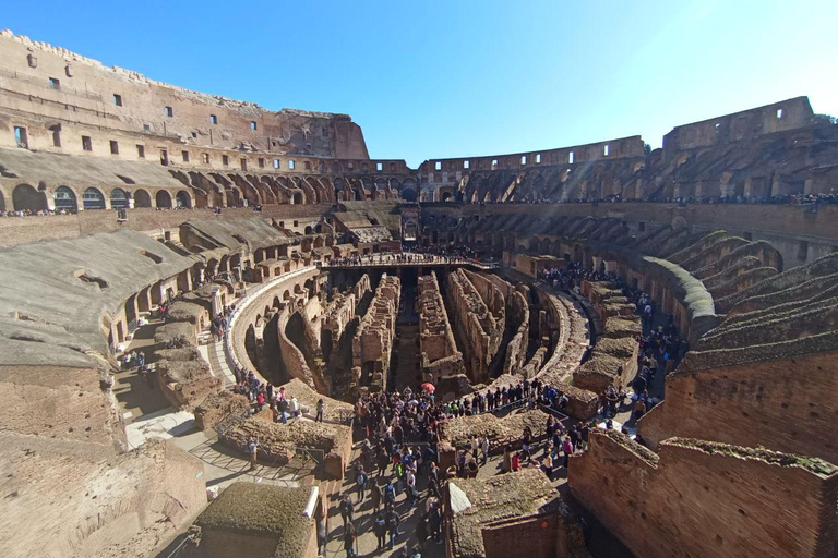 Rome: Colosseum, Underground, Roman Forum, & Palatine Tour Private Underground Tour with the Forum and Palatine hill