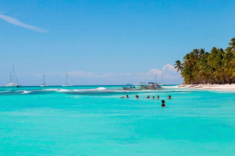 Punta Cana: Saona Island Day Trip with VIP Option