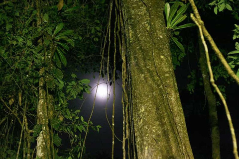 Iquitos: Amazon 4 days | Nanay River, Monkeys