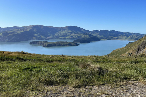 基督城：Port Hills 全天徒步跑步之旅基督城：港口山全日徒步跑步之旅