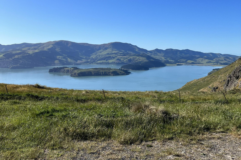 基督城：Port Hills 全天徒步跑步之旅基督城：港口山全日徒步跑步之旅