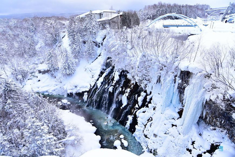 From Sapporo: Ningle Terrace Illumination & Biei Snow Tour