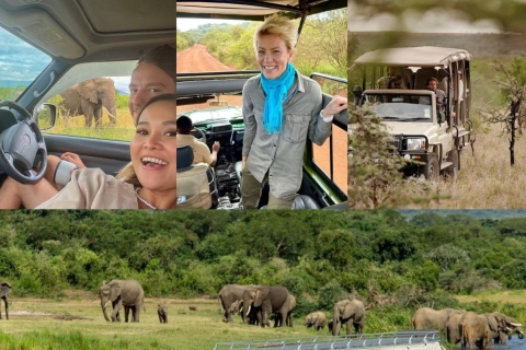Excursion en bateau et safari dans le parc national de l'Akagera