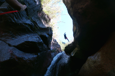 Île de Madère : Tour de canyoning modéréCanyoning Tour Madère - Niveau 2 (Avancé)