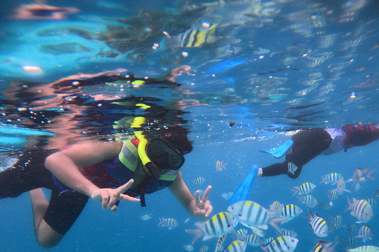 Snorkeling trip Gili Trawangan