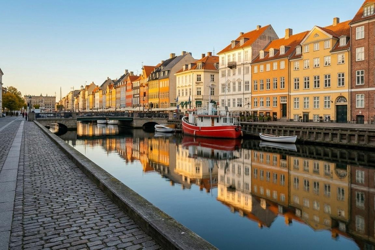 Copenhagen: Private Half-Day & Full-Day City Tour Full-Day Private Tour (Van)