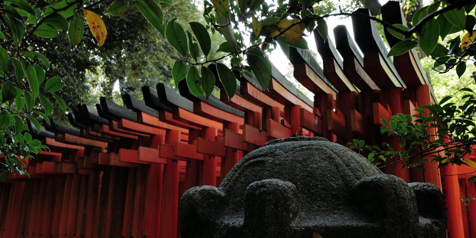 Kyoto experience — temples, geisha, bamboo grove — image 23