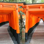 Kyoto: Fushimi Inari, Kinkaku-ji, boschetto di bambù – Tour di 1 giorno in autobus