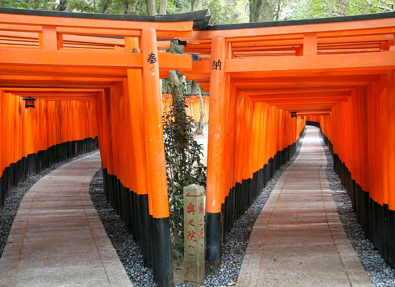 Kyoto: 1 dags bustur til Fushimi Inari, Kinkakuji og bambusskoven