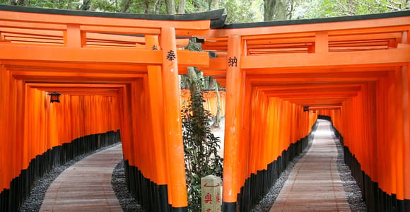 Kyoto: Fushimi Inari, Kinkakuji, Bamboo Grove 1-Day Bus Tour