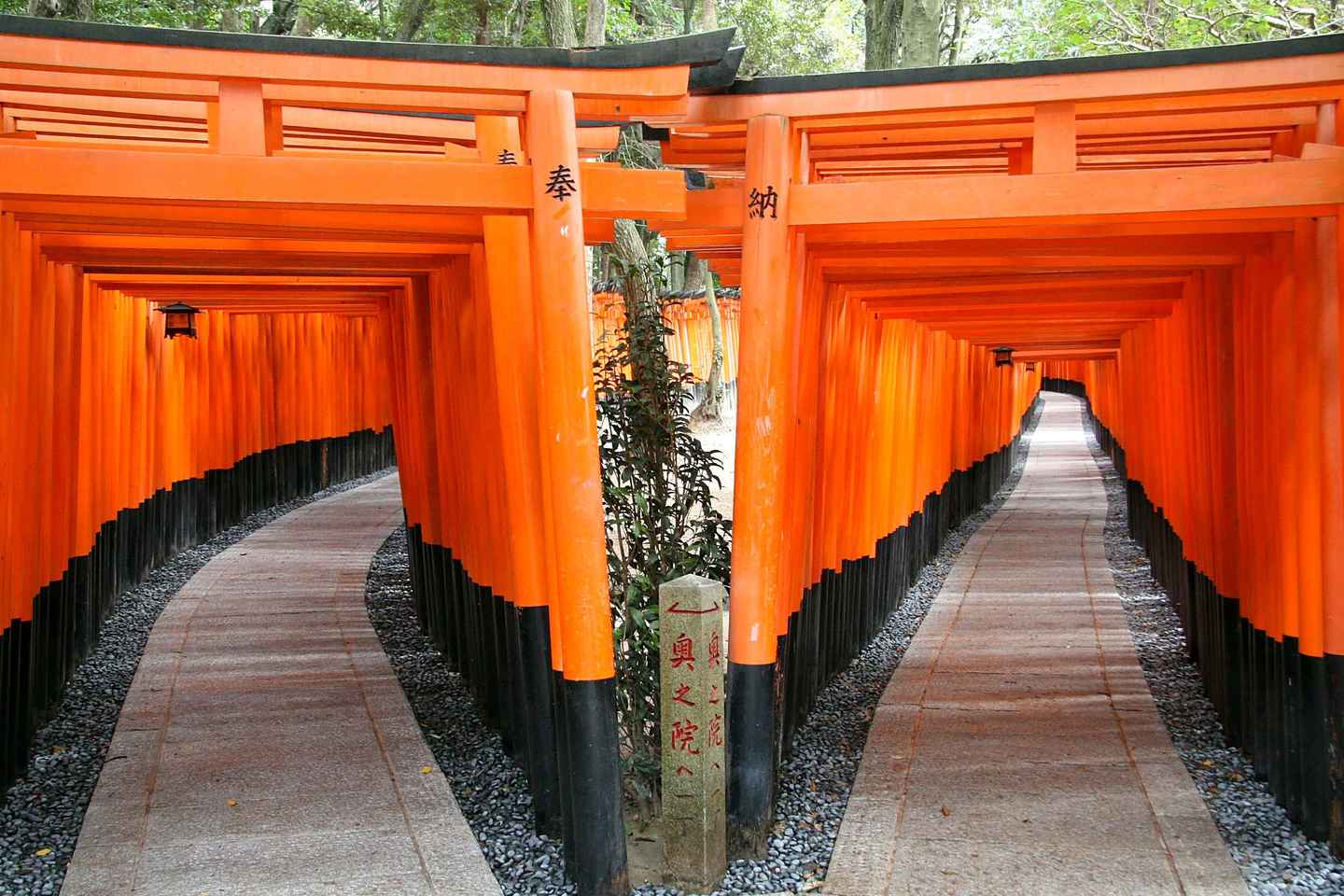 Kyoto: Fushimi Inari, Kinkakuji, Bamboo Grove 1 Day Bus Tour - Tour with Lunch